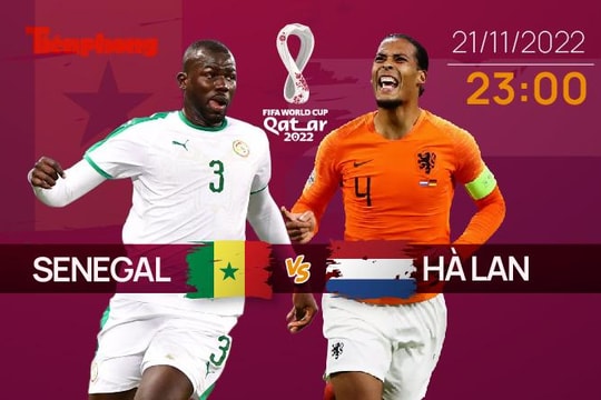 World Cup 2022: Tương quan trận đấu Senegal - Hà Lan, 23 giờ 21/11