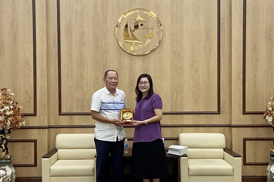 Tăng cường phối hợp thực hiện tốt hơn nữa công tác về người Việt Nam ở nước ngoài