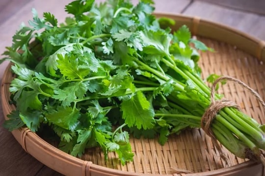 Rau mùi mua về nhanh thối, hỏng: Làm thêm bước này để nửa năm rau mùi vẫn tươi ngon, xanh mơn mởn