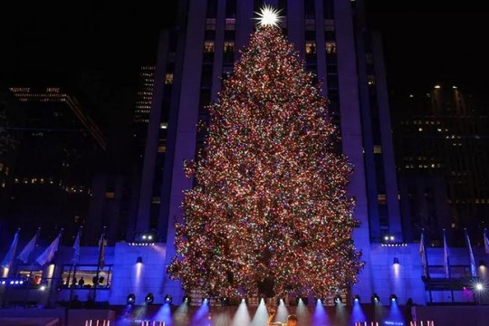 Hôm nay, 3 triệu ngôi sao pha lê thắp sáng cây thông Noel ở New York