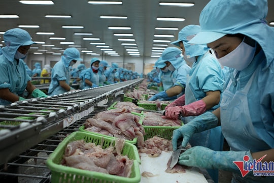 Bán tôm cá thu về 10 tỷ USD, hàng loạt kỷ lục lịch sử được thiết lập
