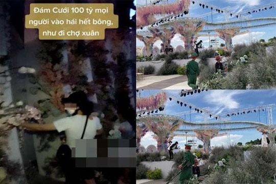 Đám cưới trăm tỷ kết thúc, người dân đổ xô ngắt hoa mang về