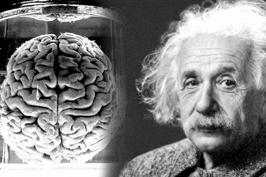 ‘Hành trình’ ly kỳ của bộ não Einstein sau khi ông qua đời