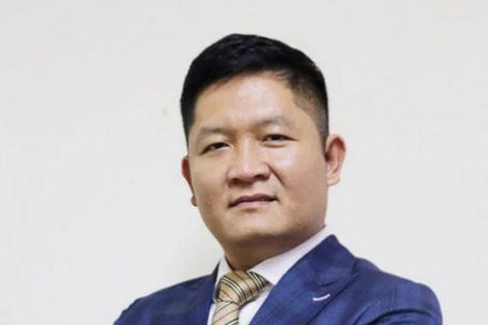 Thao túng chứng khoán, Chủ tịch Chứng khoán Trí Việt bị khởi tố