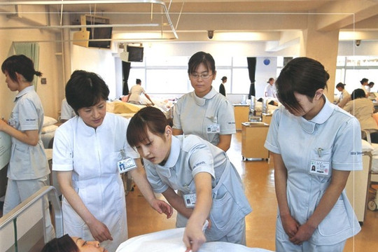 Sẽ tuyển chọn 240 chỉ tiêu ngành điều dưỡng, hộ lý làm việc tại Nhật Bản