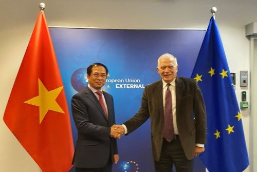 Bộ trưởng Bùi Thanh Sơn gặp với Đại diện cấp cao EU về Chính sách An ninh và Đối ngoại, Phó Chủ tịch Ủy ban châu Âu Josep Borrel
