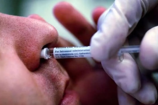 Ấn Độ phê duyệt vaccine phòng COVID-19 iNCOVACC dạng nhỏ mũi