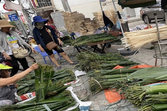 Gần Tết nói chuyện lá dong