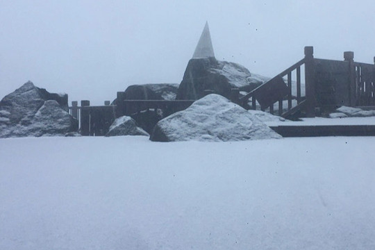 Mưa tuyết lại xuất hiện trên đỉnh Fansipan