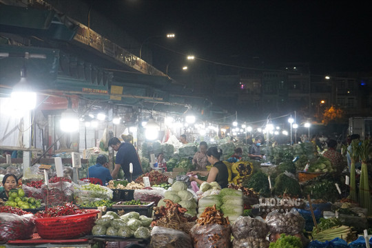Nửa đêm, bất ngờ kiểm tra an toàn thực phẩm tại các chợ đầu mối ở TPHCM