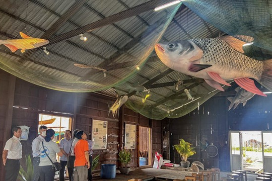 Mô hình 3D về loài cá hiếm giúp quảng bá du lịch Cồn Sơn