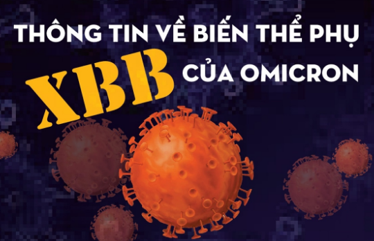 [Infographics] Thông tin về biến thể phụ XBB của Omicron