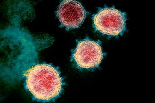 Mở rộng giải trình tự gene với virus gây bệnh hô hấp ngoài COVID-19