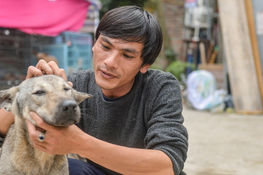 Tìm chủ cho "thú cưng" bị bỏ rơi ở Hà Nội: Tôi chỉ sợ họ mang về làm thịt