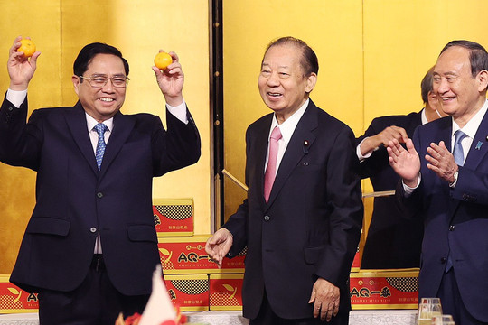 Chuyện Thủ tướng được tặng quýt Nhật và trăn trở của Bộ trưởng Nông nghiệp