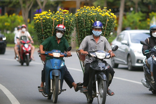 Sắc xuân ngập tràn đường phố TPHCM những ngày giáp Tết