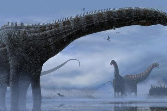 Chile: Phát hiện hóa thạch của 4 loài khủng long chưa từng biết đến