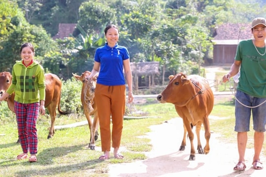 Năm đầu 'áp' chuẩn nghèo mới, tiêu chuẩn tăng cao kết quả vẫn tích cực