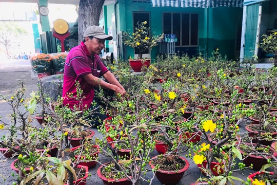 Hoa thì tươi mà chủ hàng thì 'héo'