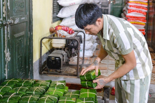 Phạm nhân khéo léo gói hàng nghìn bánh chưng đón Tết ở Trại giam Yên Hạ
