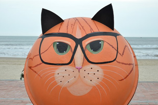 Độc đáo “linh vật mèo” thuyền thúng trên bãi biển Đà Nẵng