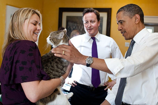 Con mèo quyền lực nhất dinh thủ tướng Anh