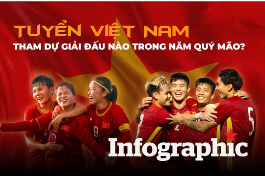 Các đội tuyển Việt Nam tham dự giải đấu nào trong năm Quý Mão?