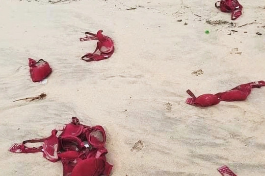 Hàng trăm áo ngực dạt vào bờ biển Quảng Ngãi