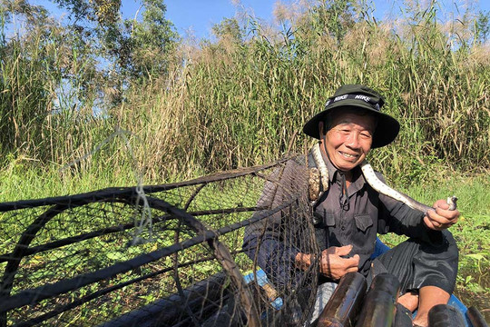 Độc đáo cuộc 'đi săn' của ông lão trong rừng U Minh Hạ