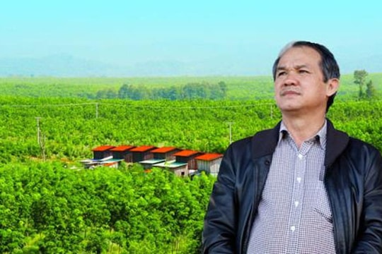 Hoàng Anh Gia Lai của Bầu Đức lãi nghìn tỷ vì sao muốn bỏ bóng đá?