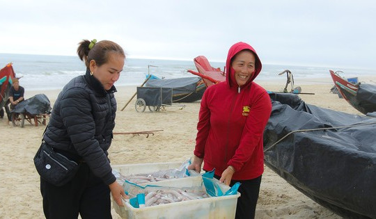 Ngư dân Quảng Bình thu lợi nhuận khủng từ cá khoai