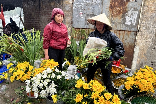 Sau Tết, hoa dơn giá rẻ như rau, chậu ly bằng cốc trà sữa