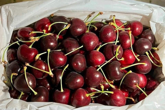 Loại trái cây nhập khẩu sang chảnh ồ ạt về chợ Việt, giá rẻ hiếm thấy