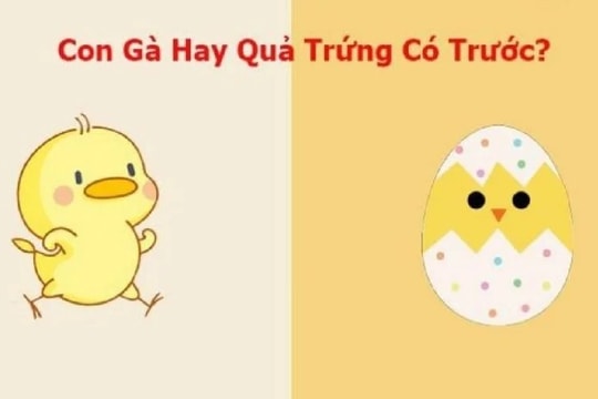 Quả trứng có trước hay con gà có trước: Đây chính là câu trả lời chính xác nhất