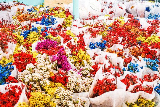 Chợ hoa lớn nhất TP.HCM thức xuyên đêm kết bông phục vụ Lễ tình nhân
