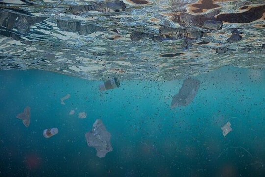 Nhựa chiếm 80% rác thải trong môi trường biển ở Địa Trung Hải