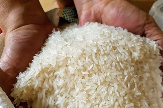 Gạo Việt dần vắng bóng tại thị trường Trung Quốc