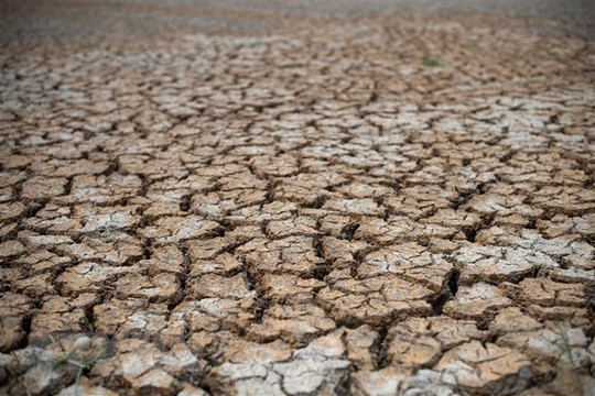 Các nhà khoa học Trung Quốc tiết lộ nguyên nhân gia tăng El Nino