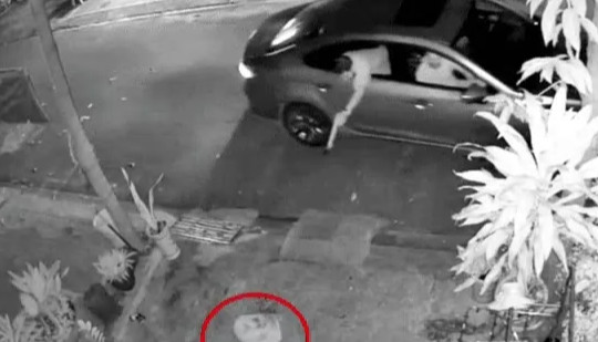 3 người đàn ông đi ô tô trộm chó trong 5 giây