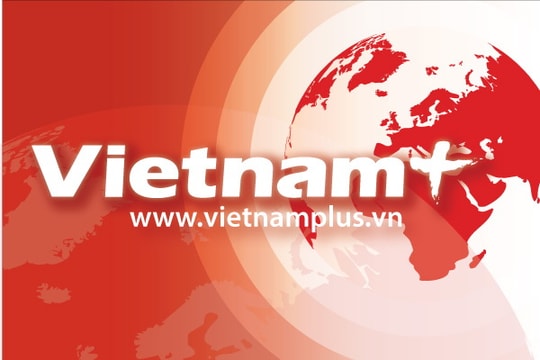 Bộ phim 'Bí kíp luyện rồng' sắp có phiên bản người thật đóng