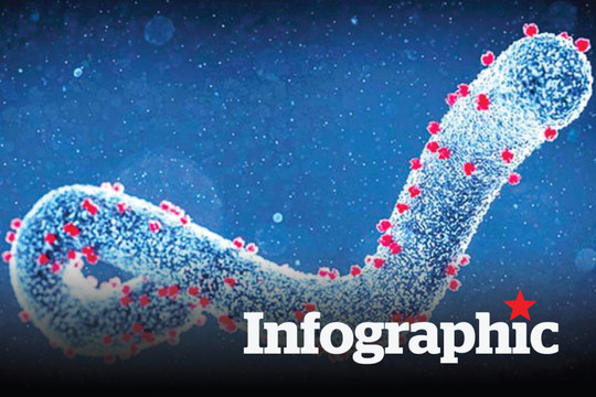 Triệu chứng dễ nhầm lẫn và đường lây truyền virus Marburg gây chết người