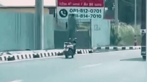 Biểu diễn đứng trên yên xe máy chạy bon bon trên đường, người đàn ông nhận cái kết