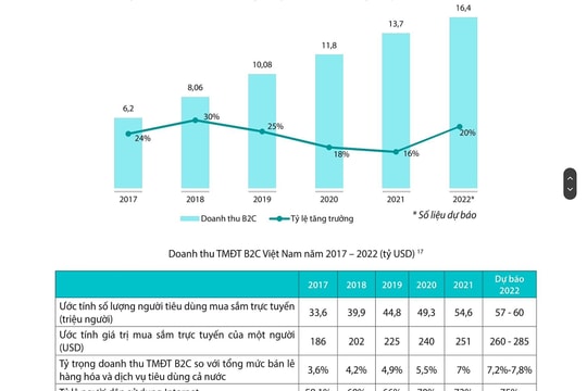 Việt Nam là thị trường lớn thứ 2, sau Indonesia, trong lĩnh vực thương mại điện tử Đông Nam Á