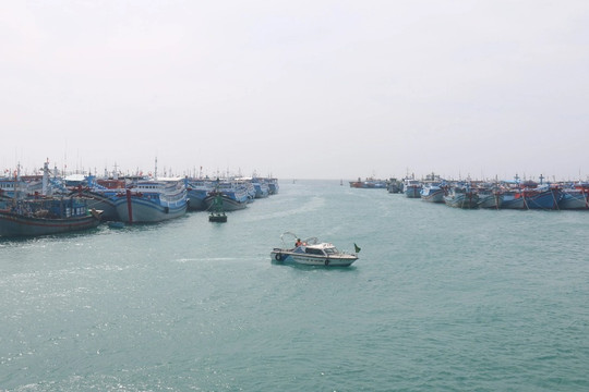 Neo đậu tránh bão, hơn 500 lao động trên 131 tàu cá bị cạn kiệt lương thực