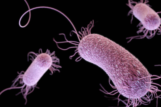 Cảnh báo kháng sinh mất tác dụng ngăn siêu vi khuẩn gây chết người