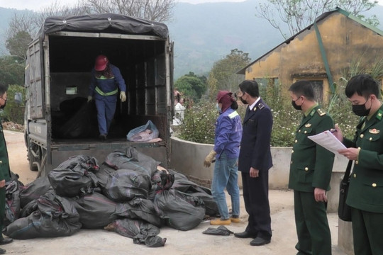 Tiêu hủy hơn 1,5 tấn tai lợn không rõ nguồn gốc ở Lào Cai