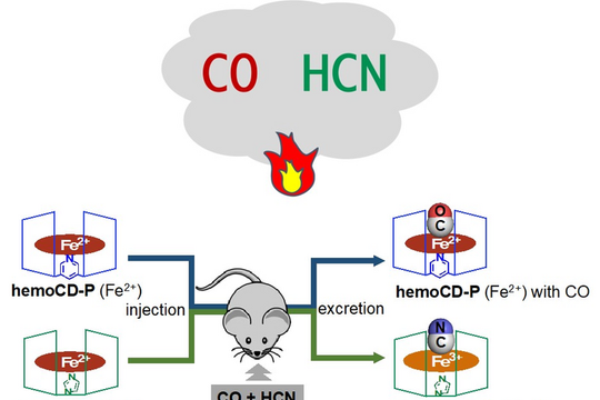 Phát hiện hợp chất có thể cứu sống các bệnh nhân bị ngộ độc khí