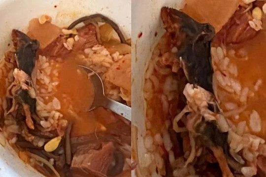 Nhà hàng Hàn Quốc bị kiện vì bán súp kèm chuột chết
