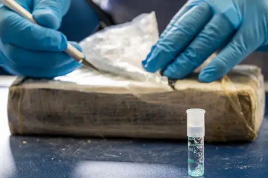 Sản xuất, buôn bán cocaine tăng lên mức kỷ lục trên toàn cầu