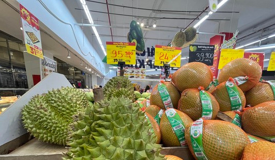 2 tháng đầu năm xuất khẩu rau quả mang về cho Việt Nam hơn 564 triệu USD